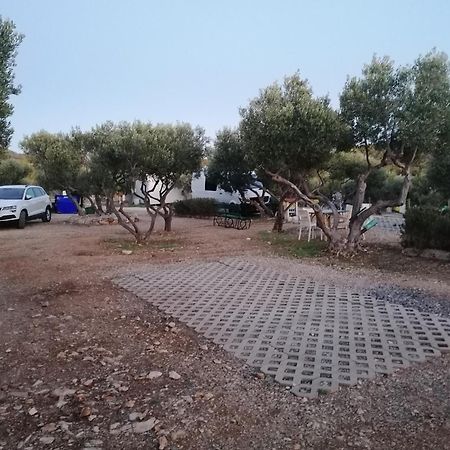 מלון חוואר Camp Kopito מראה חיצוני תמונה