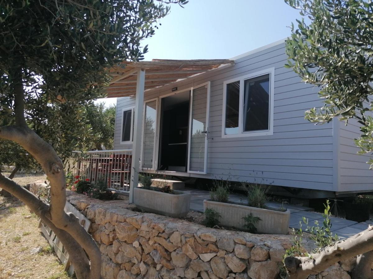 מלון חוואר Camp Kopito מראה חיצוני תמונה