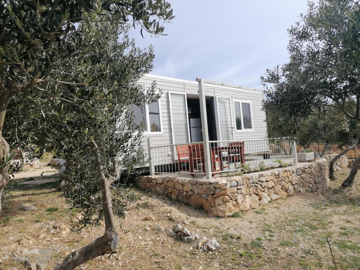 מלון חוואר Camp Kopito מראה חיצוני תמונה