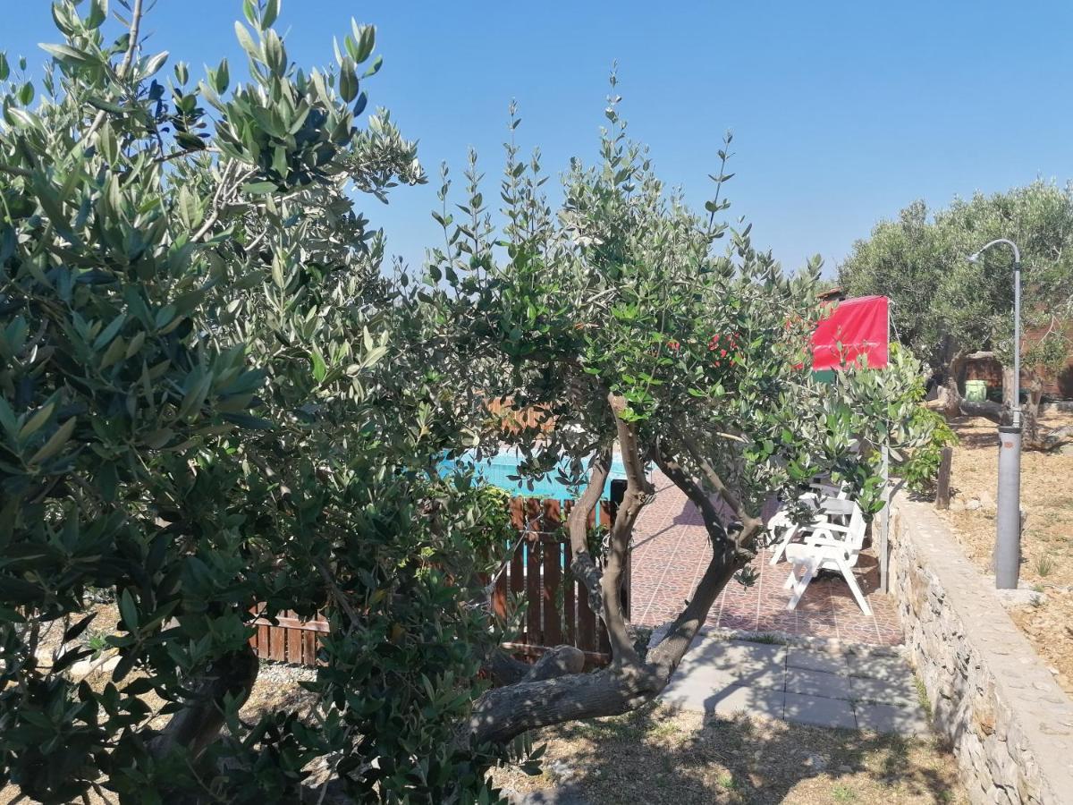 מלון חוואר Camp Kopito מראה חיצוני תמונה
