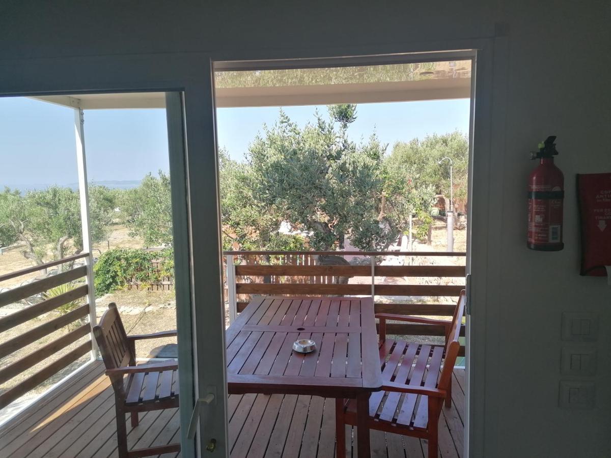 מלון חוואר Camp Kopito מראה חיצוני תמונה