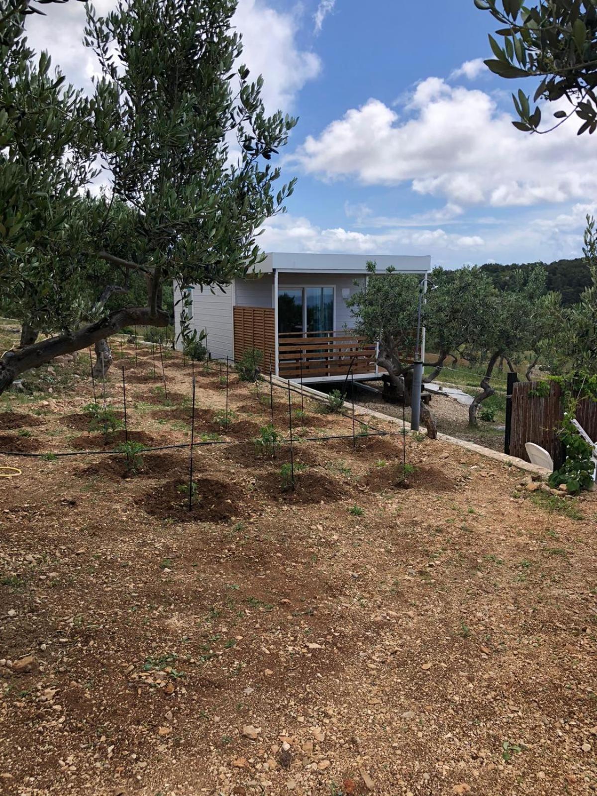 מלון חוואר Camp Kopito מראה חיצוני תמונה