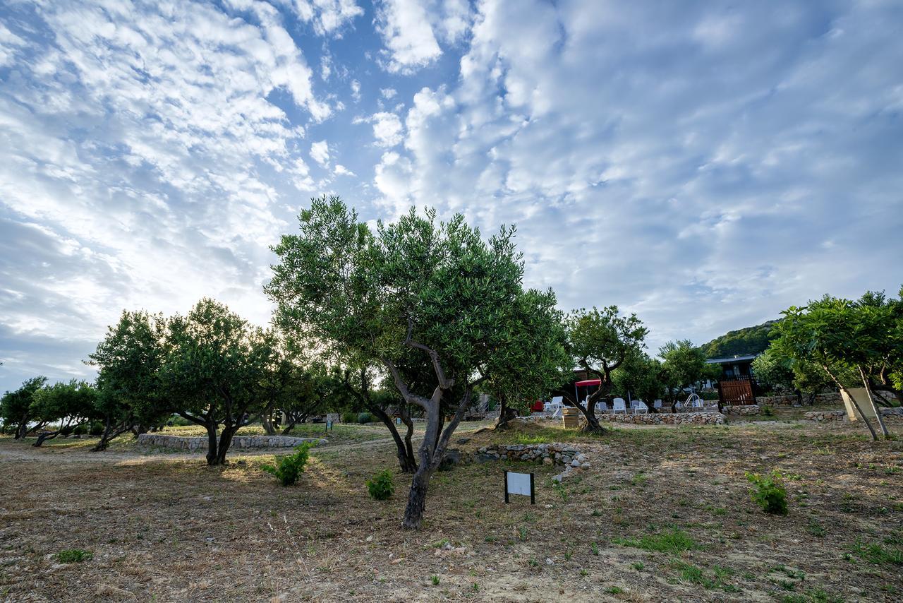 מלון חוואר Camp Kopito מראה חיצוני תמונה